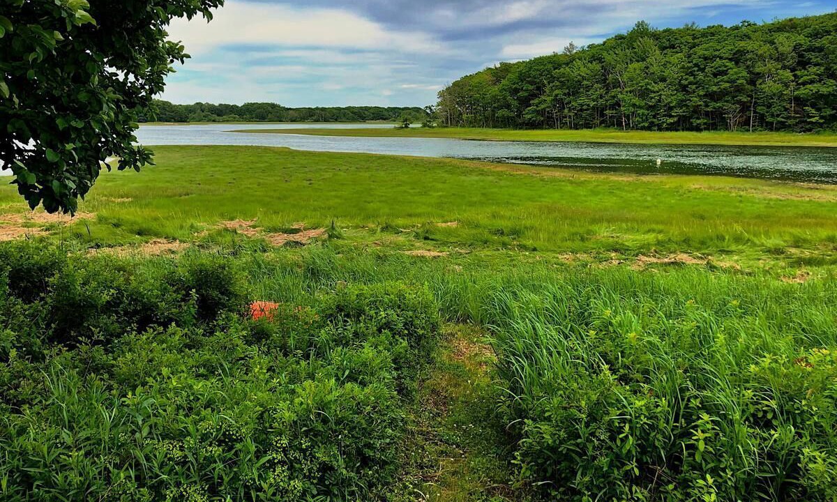 Photo of Others in Cape Porpoise
