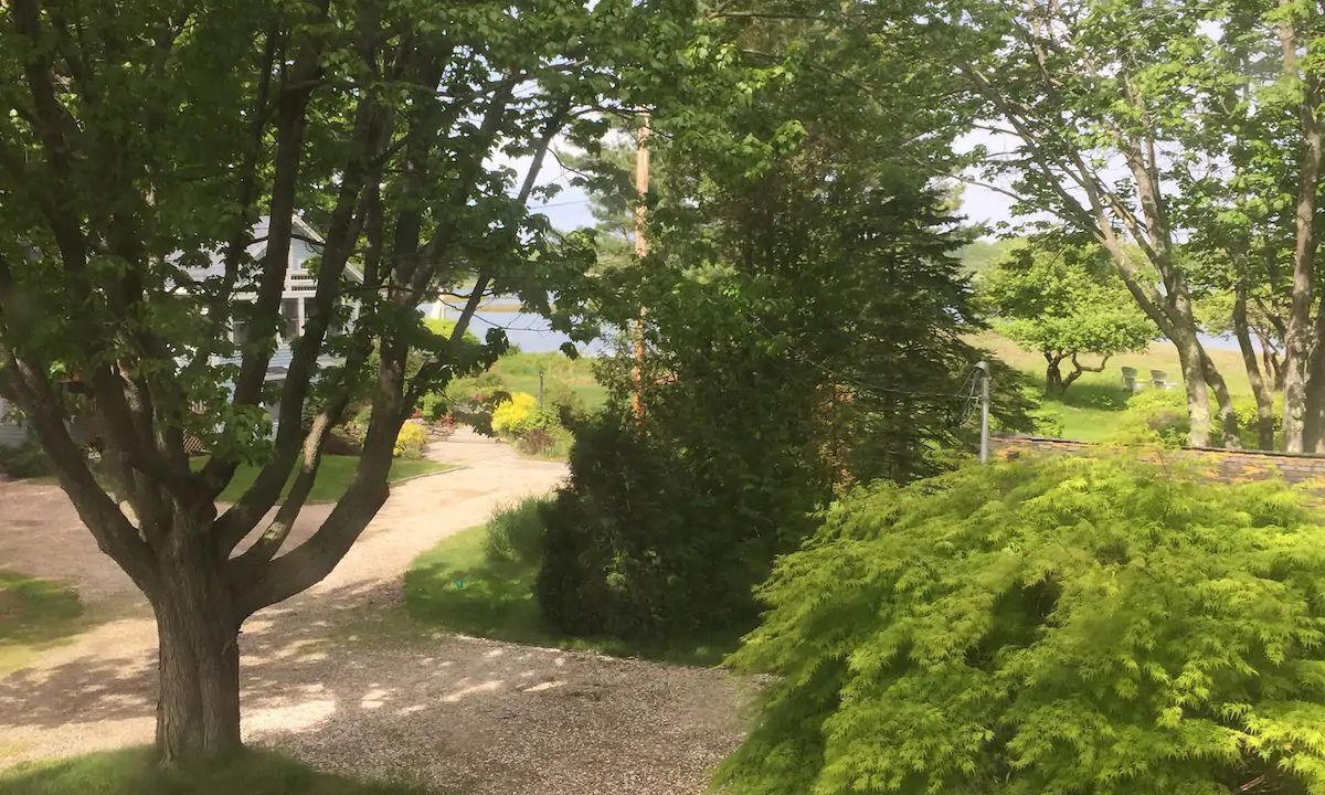 Photo of Outdoor in Cape Porpoise