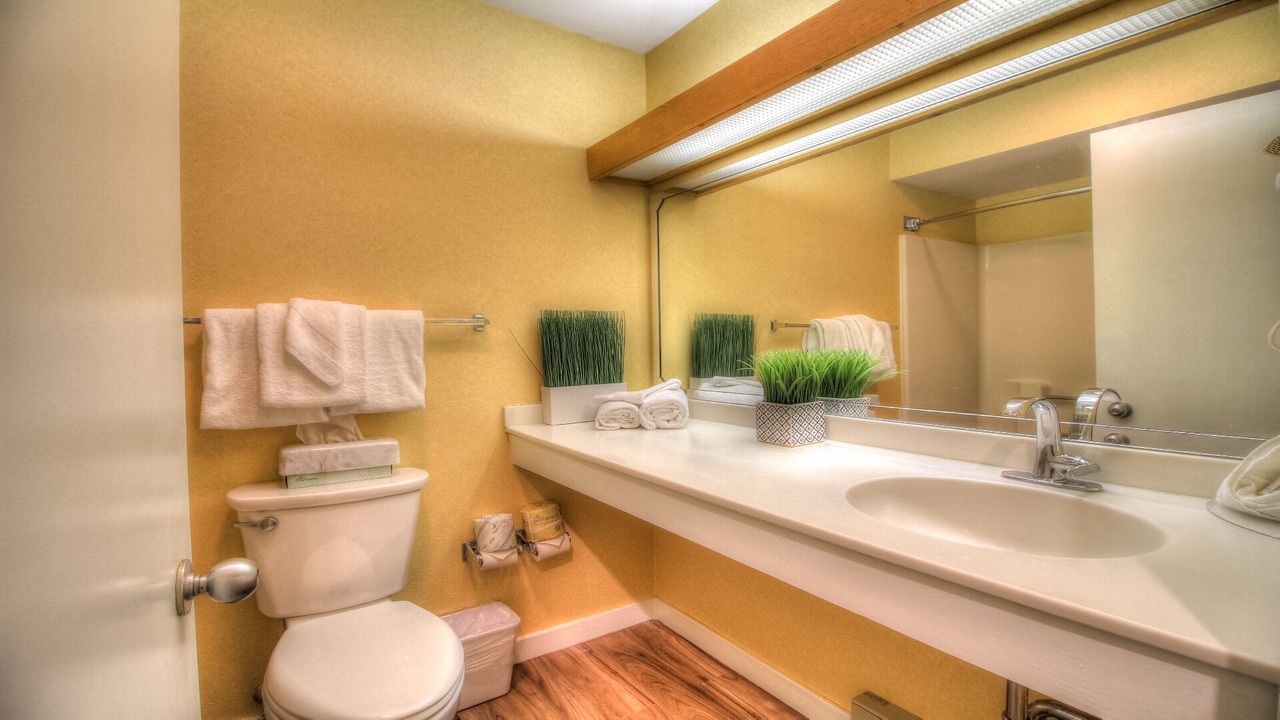 Photo of Bathroom in Killington
