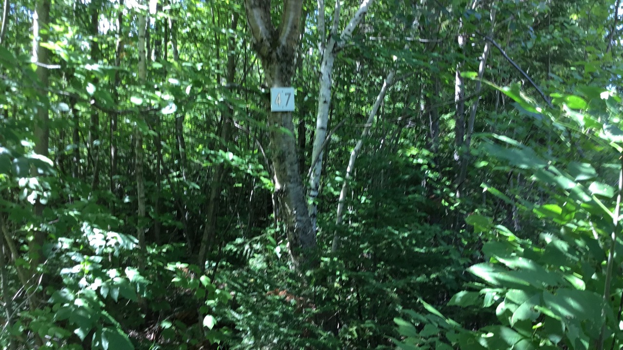 Photo of Outdoor in Randolph