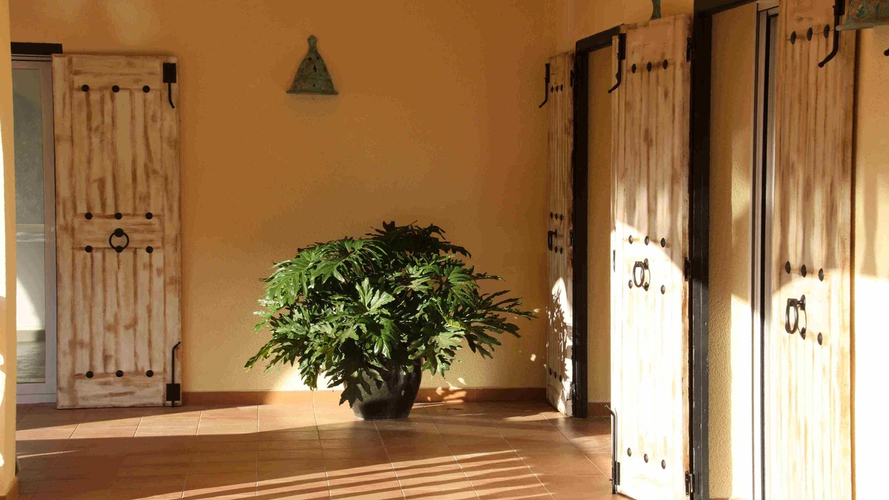 Photo of Others in Benigembla
