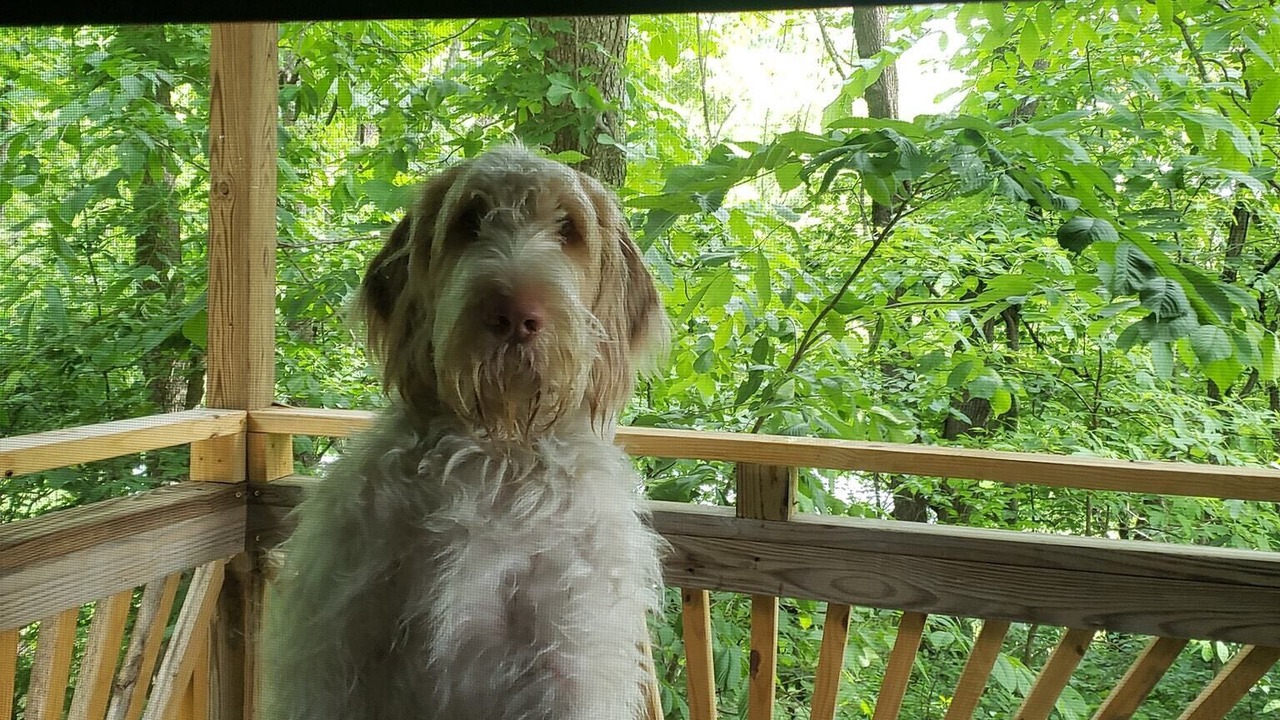 Photo of Outdoor in Black