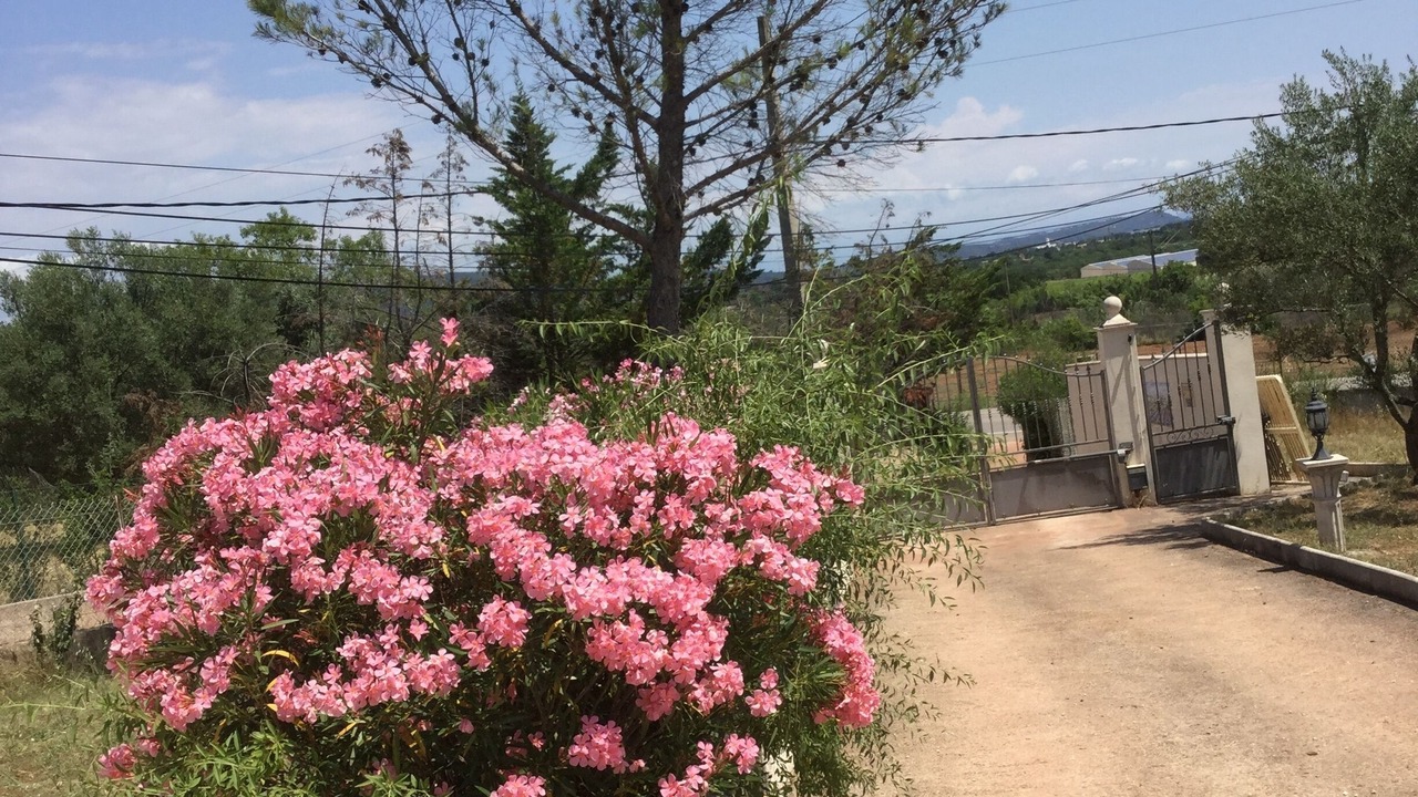 Photo of Outdoor in Le Luc