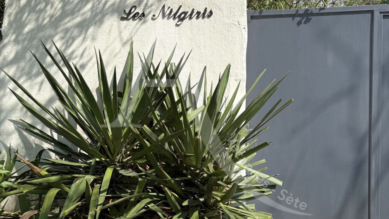 Photo of Outdoor in Sete