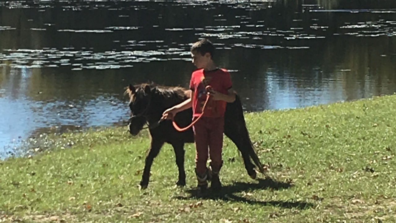Photo of Others in Van Zandt County