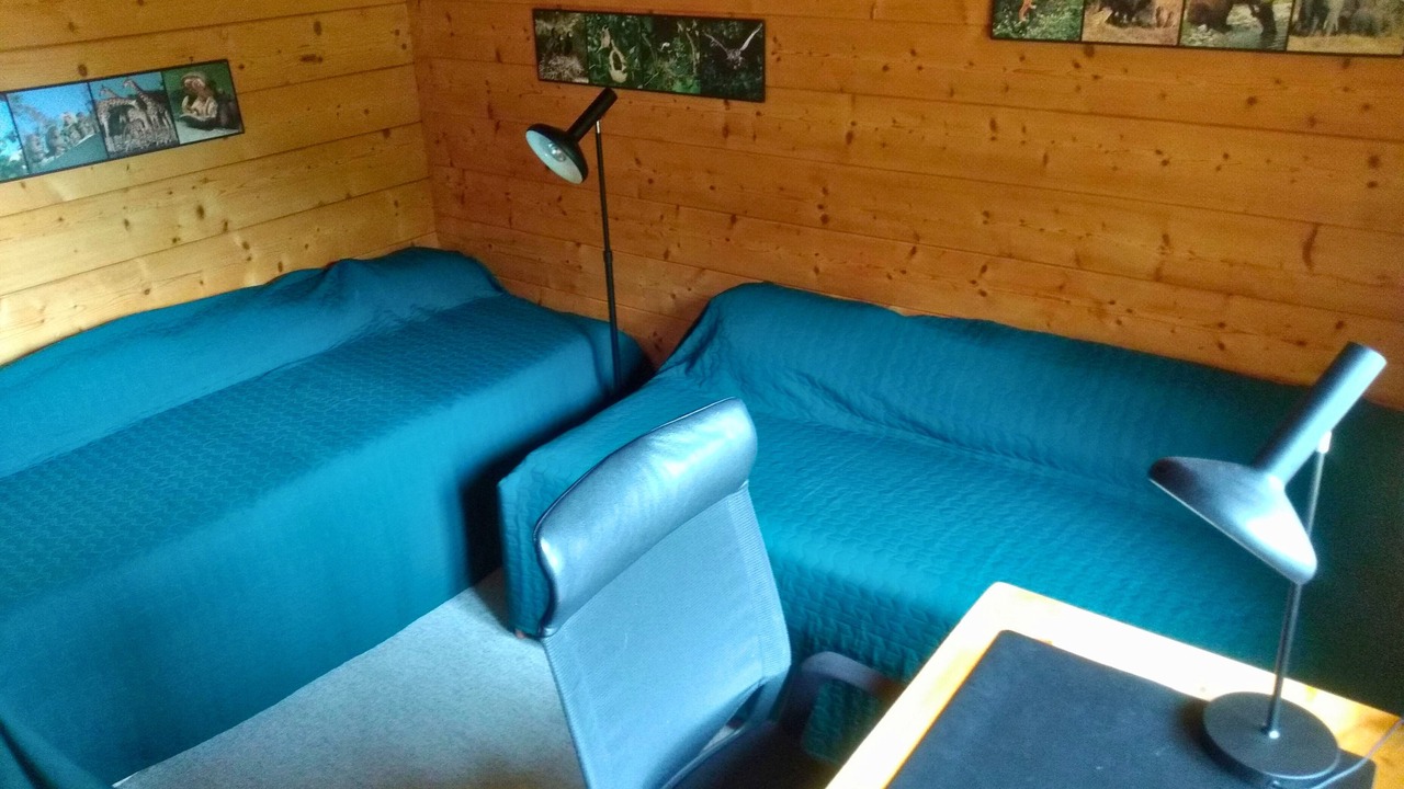 Photo of Bedroom in Laax