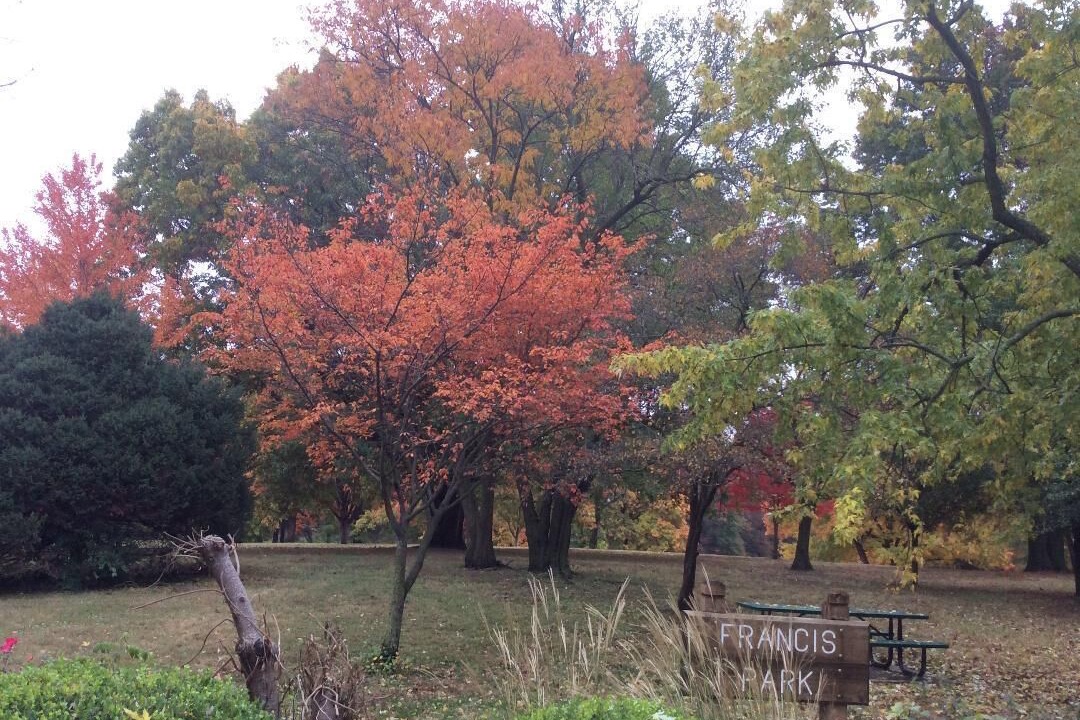 Photo of Others in St. Louis Hills