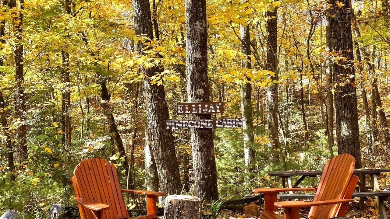 Photo of Outdoor in Ellijay