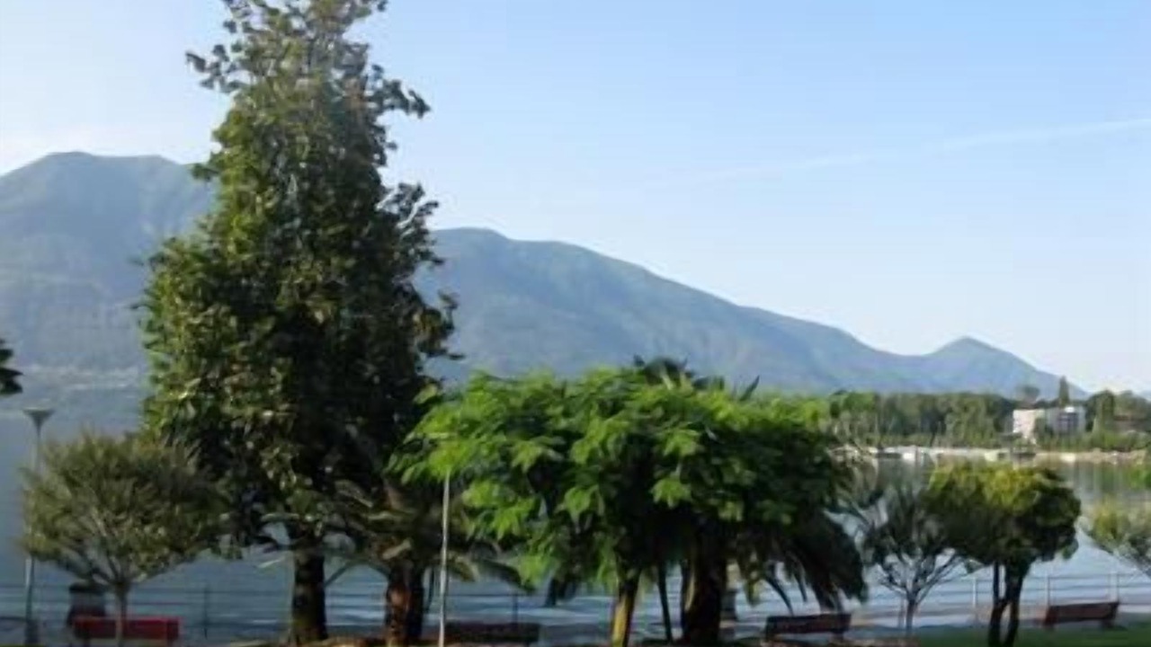 Photo of Outdoor in Muralto