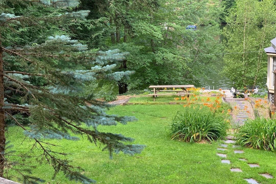 Photo of Outdoor in Laconia