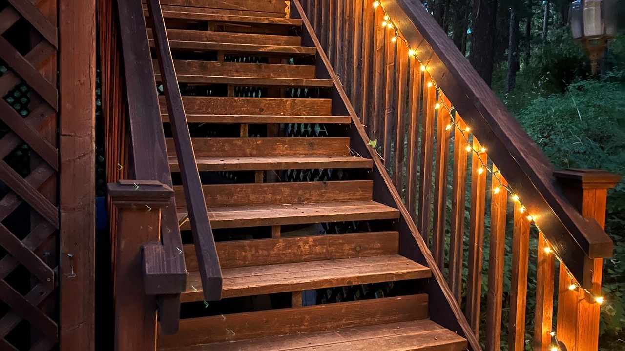 Photo of Outdoor in Summerville