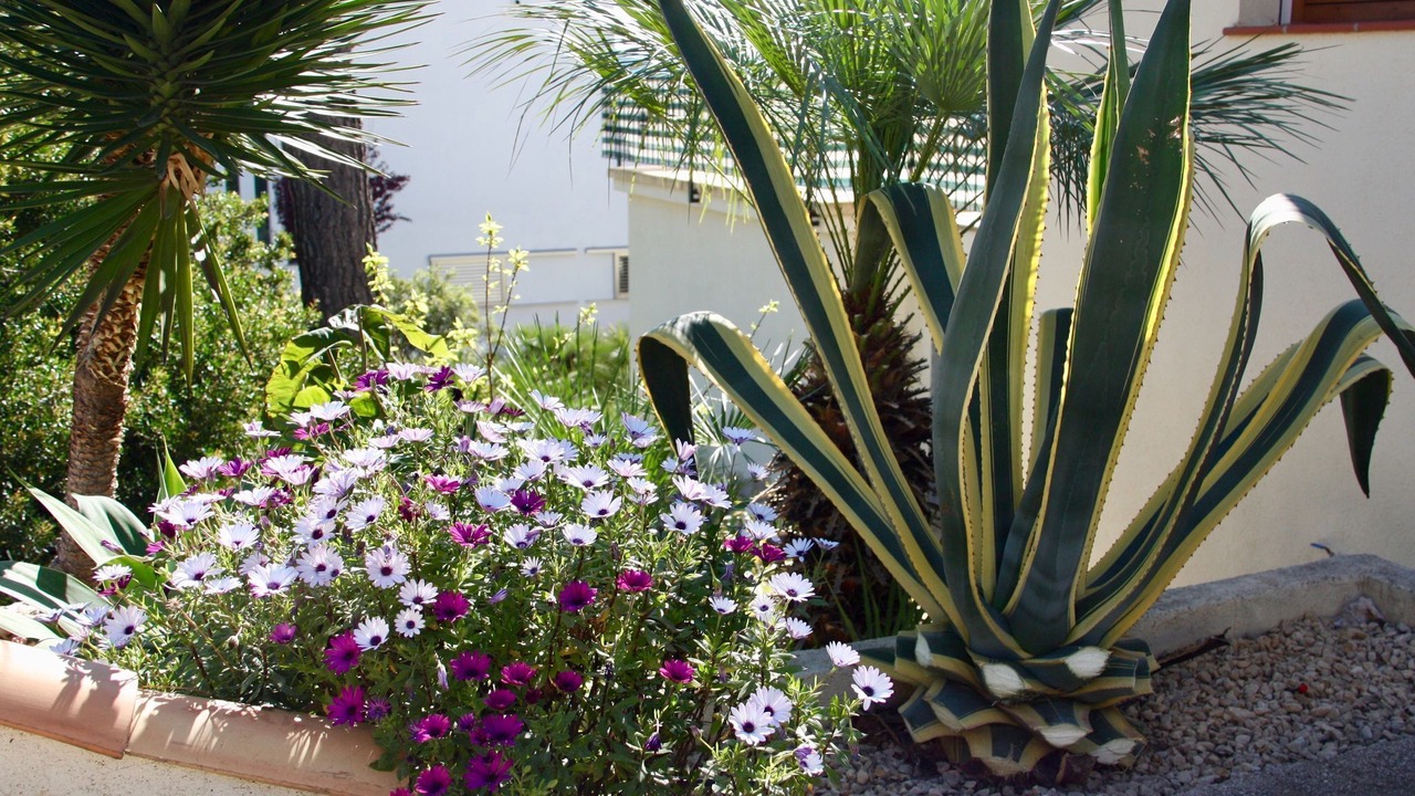 Photo of Outdoor in Adsubia