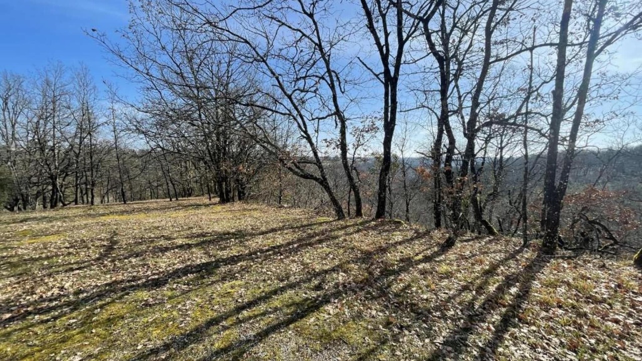 Photo of Others in Montaigu-de-Quercy