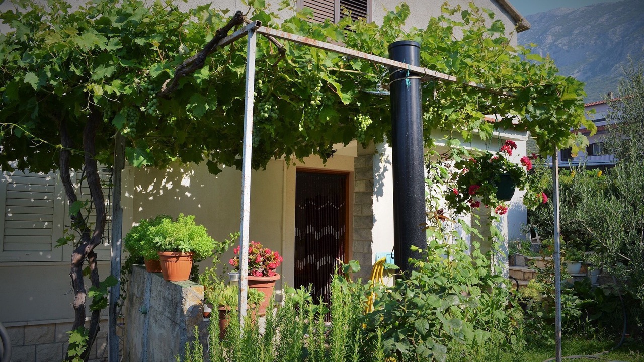 Photo of Outdoor in Gata