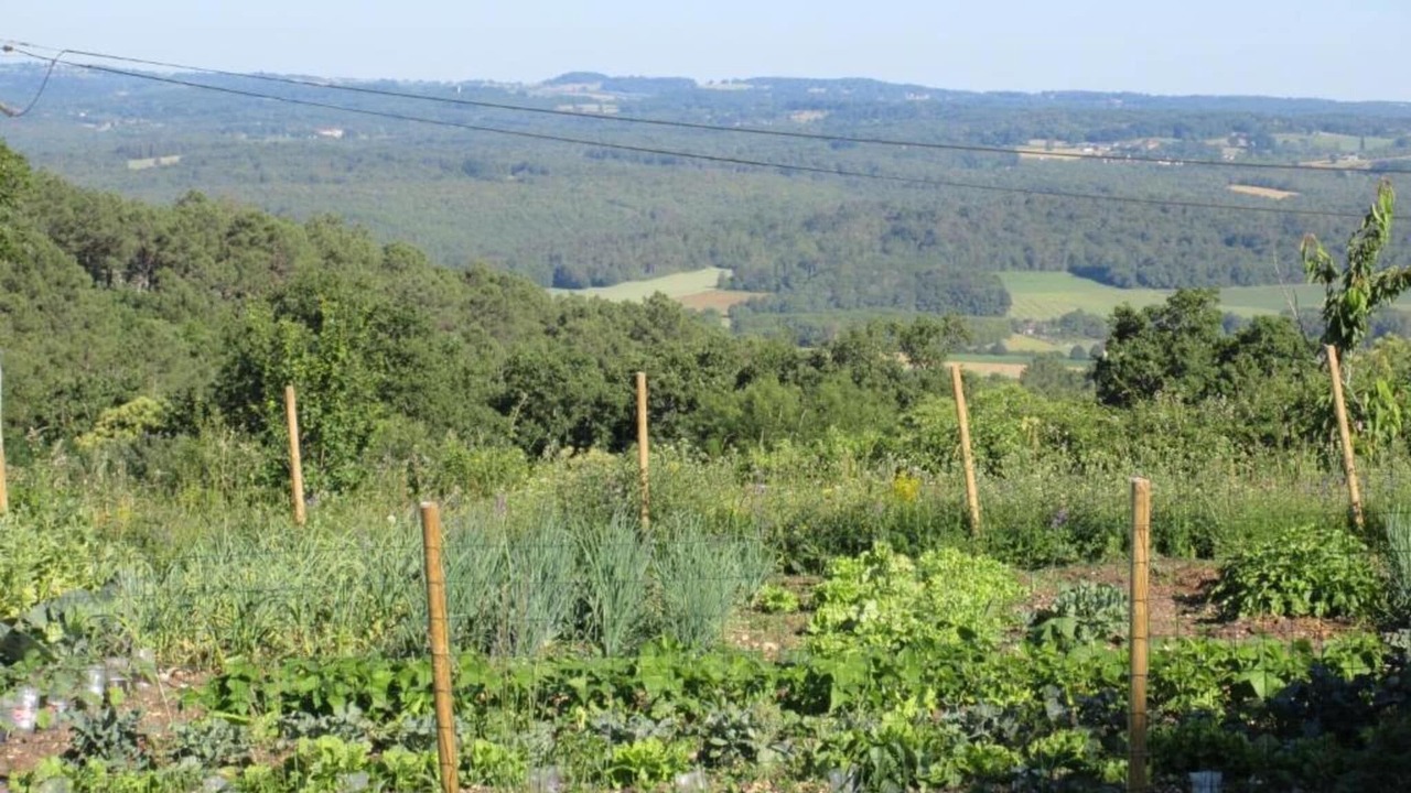 Photo of Others in Saint-Medard-d'Excideuil