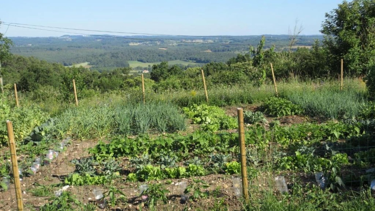 Photo of Others in Saint-Medard-d'Excideuil