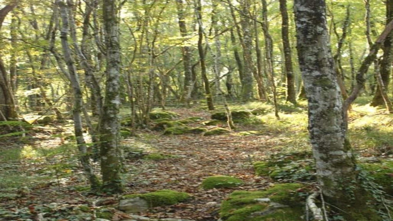 Photo of Others in Saint-Medard-d'Excideuil