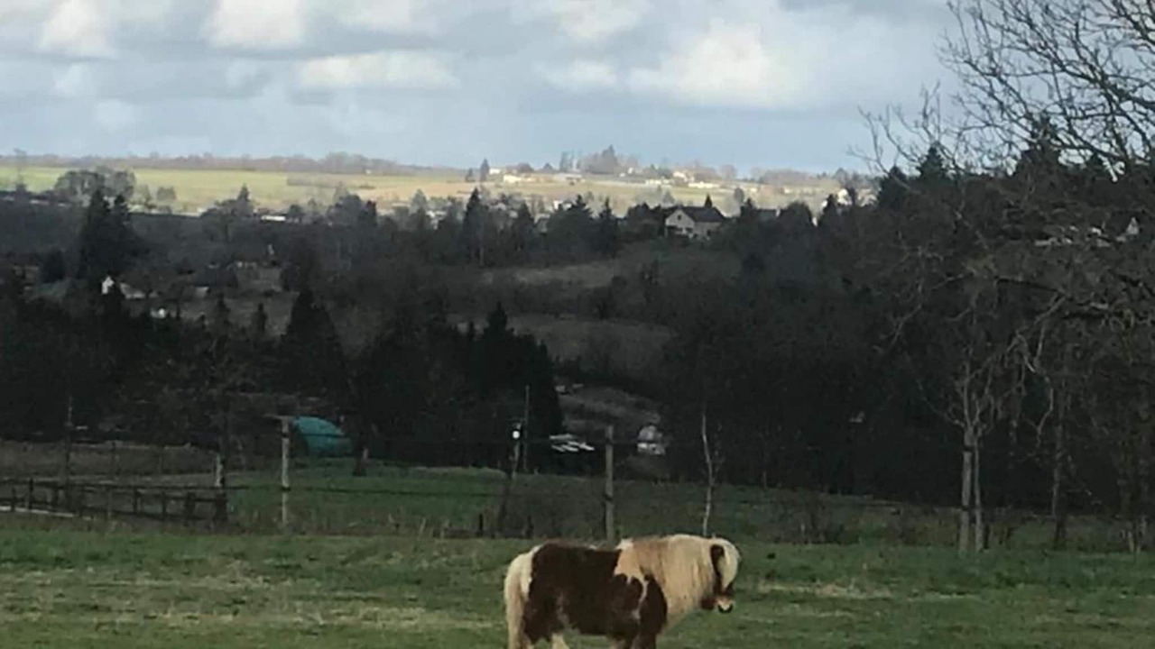 Photo of Others in Saint-Medard-d'Excideuil