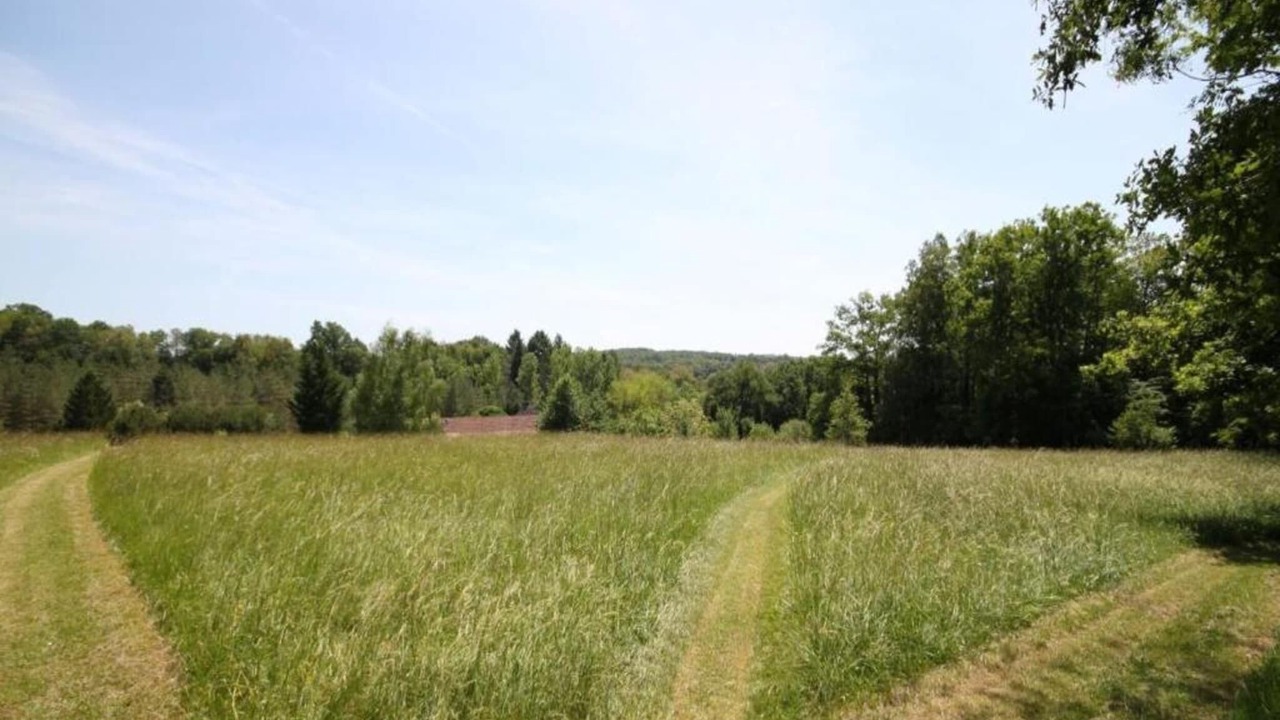 Photo of Others in Saint-Medard-d'Excideuil