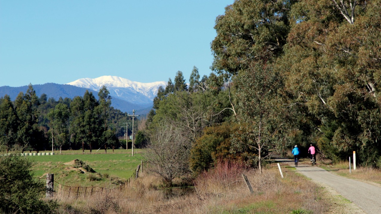 Photo of Outdoor in Bright