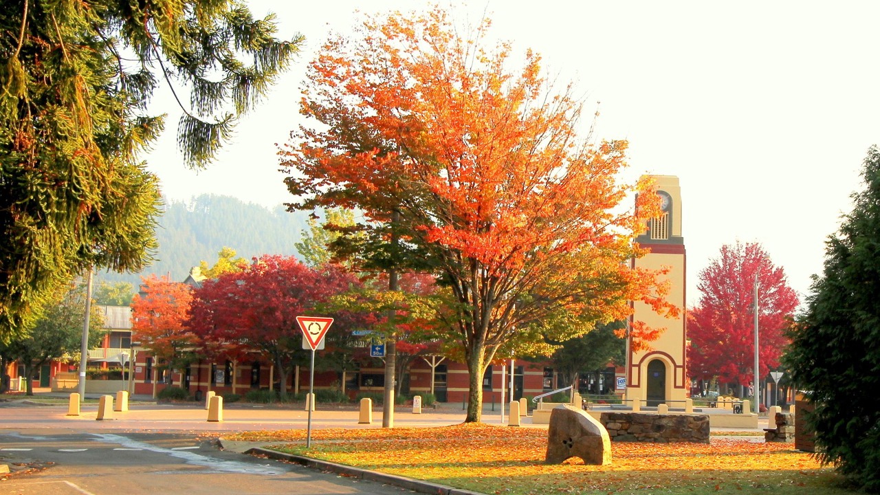 Photo of Outdoor in Bright