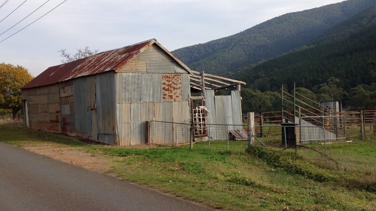 Photo of Outdoor in Bright