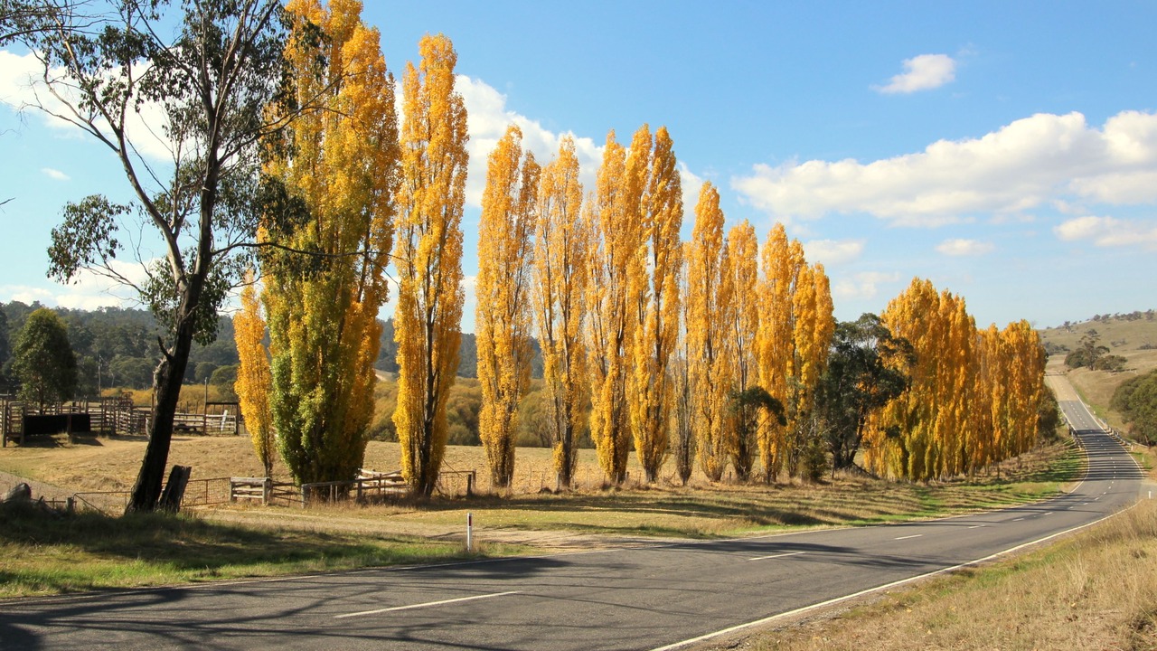 Photo of Outdoor in Bright