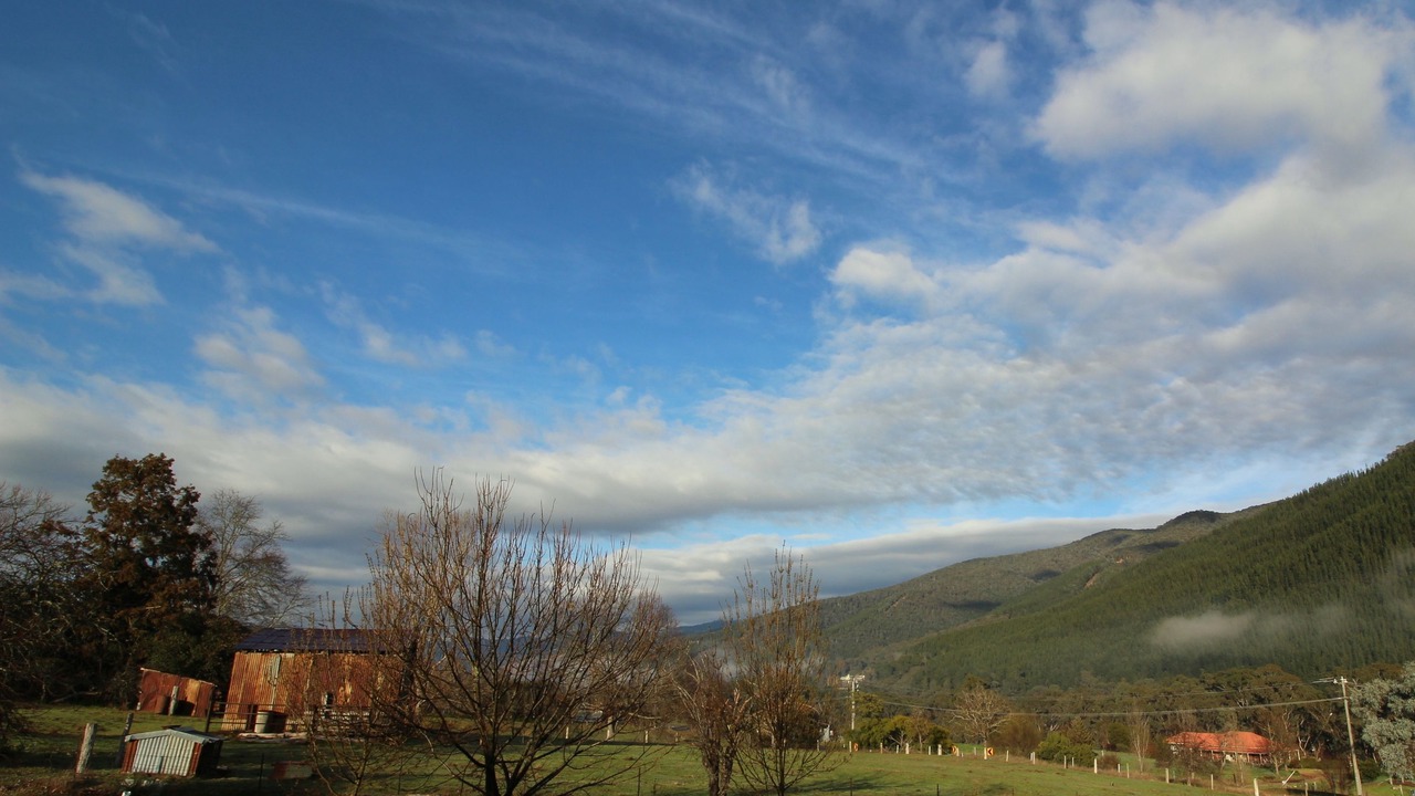 Photo of Others in Bright