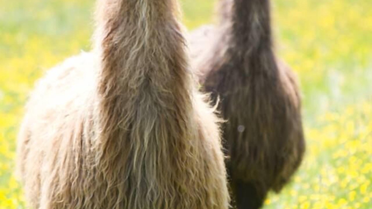 Photo of Outdoor in Cowbridge