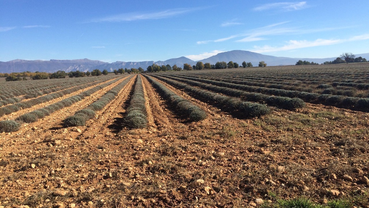 Photo of Others in Montpezat
