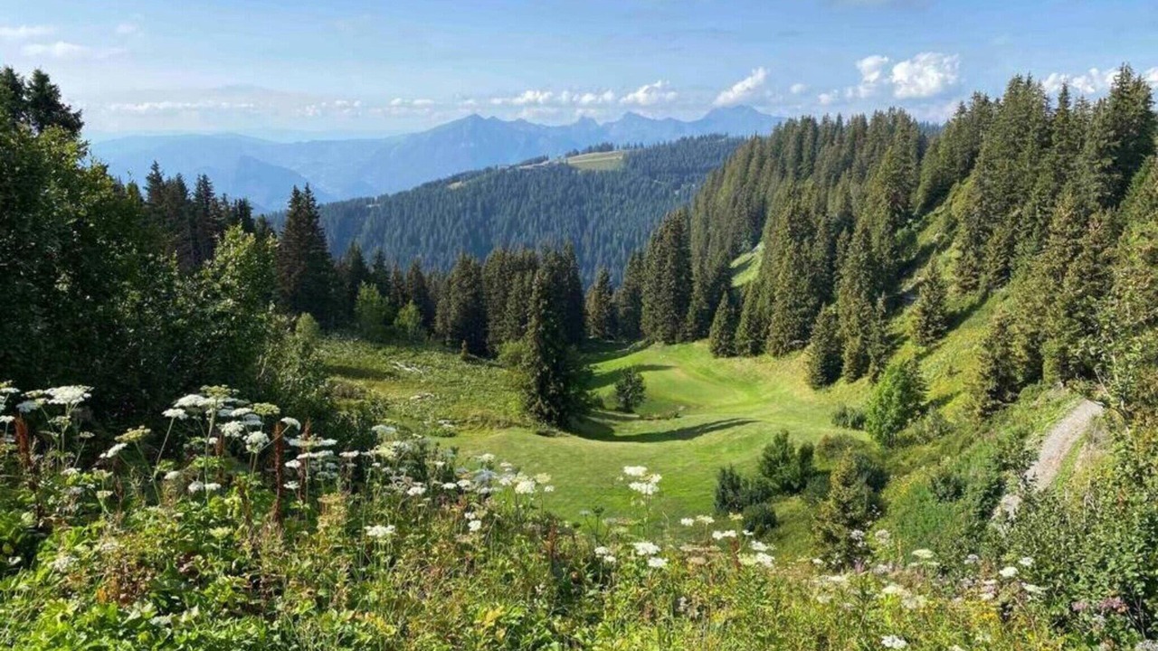 Photo of Others in Flaine