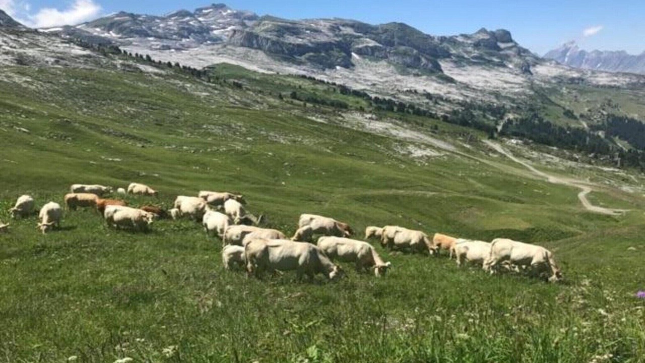 Photo of Others in Flaine