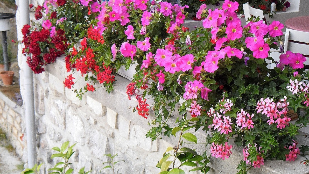 Photo of Outdoor in Opric