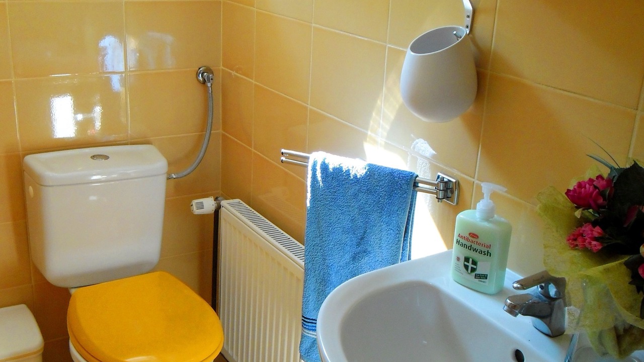Photo of Bathroom in Opric