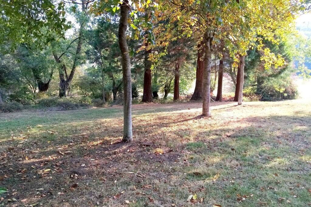Photo of Outdoor in Englancourt