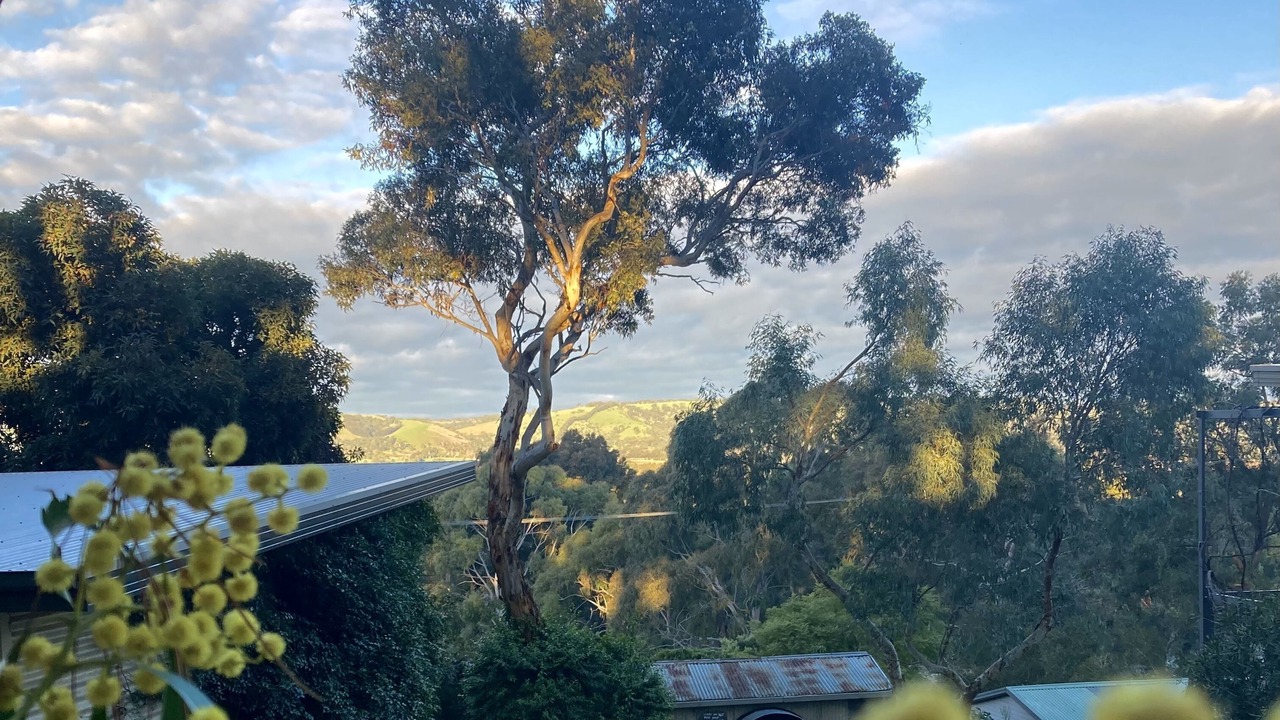 Photo of Outdoor in Blewitt Springs