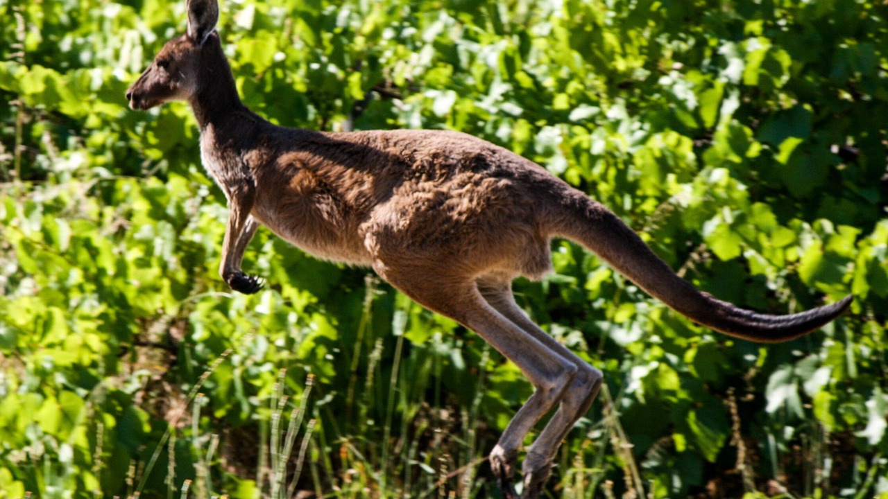 Photo of Outdoor in Blewitt Springs