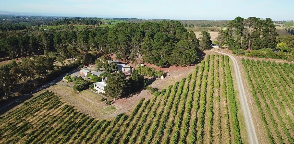 Photo of Outdoor in Blewitt Springs