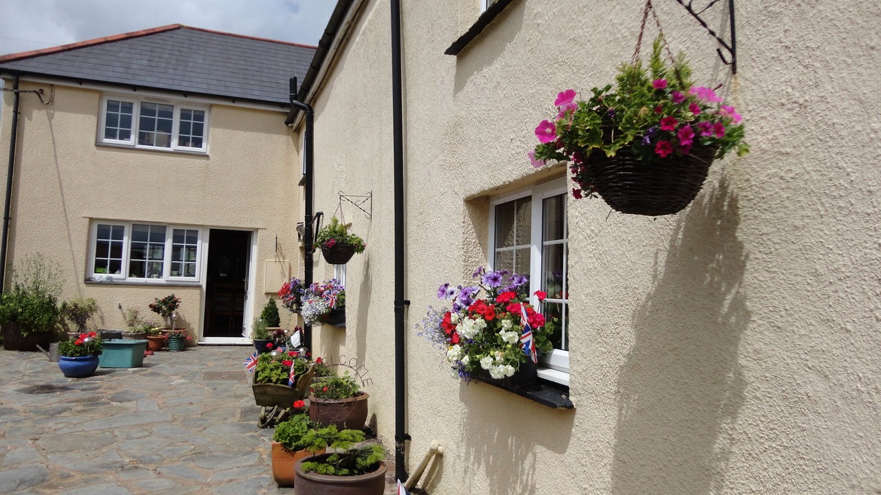 Photo of Outdoor in Lifton