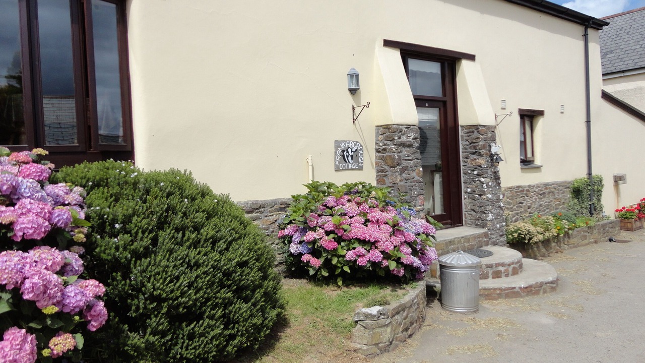 Photo of Outdoor in Lifton