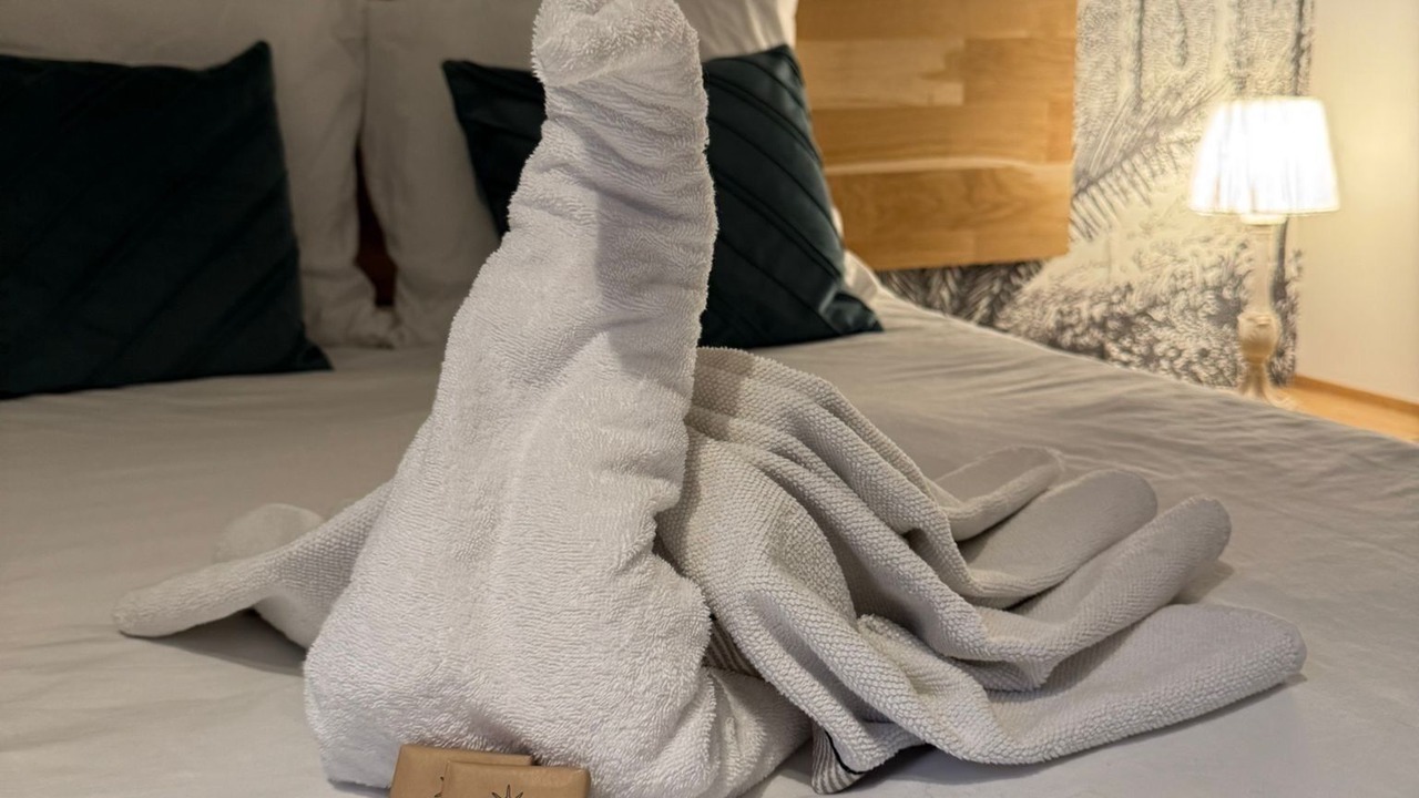 Photo of Bedroom in Ancenis