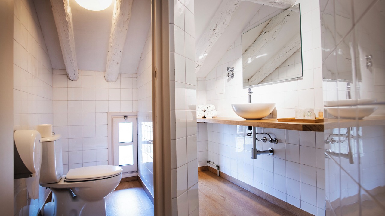 Photo of Bathroom in Abizanda