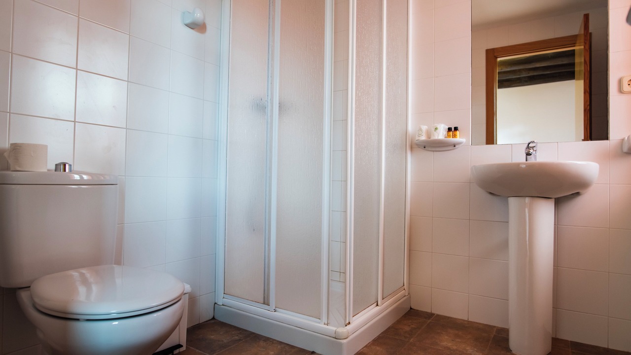 Photo of Bathroom in Abizanda