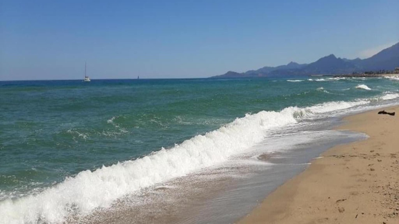 Photo of Others in Saint-Cyprien Plage