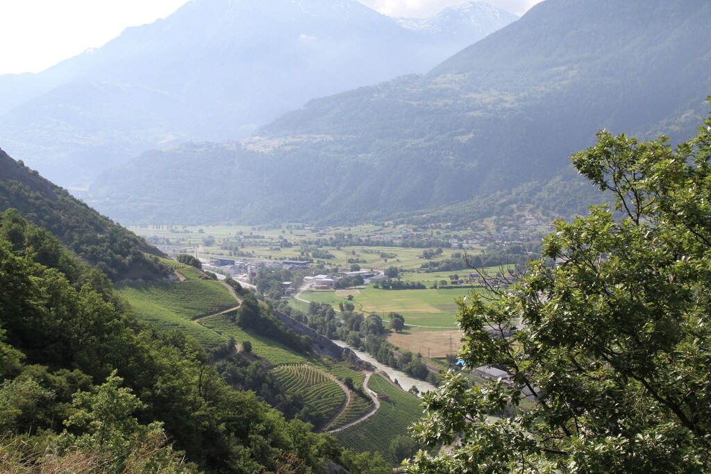 Photo of Others in Erschmatt