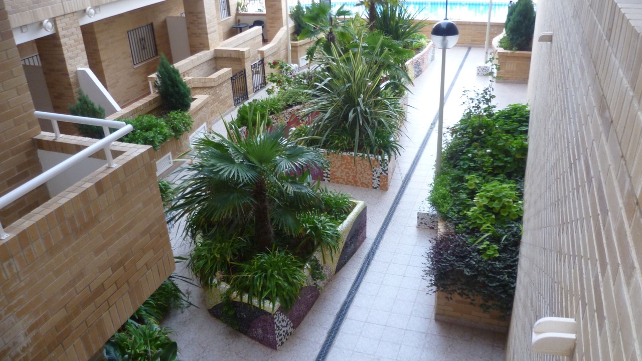 Photo of Outdoor in Marina d'Or