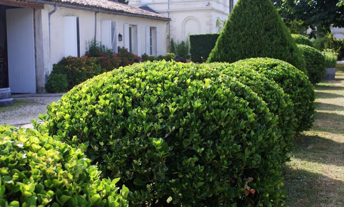 Photo of Outdoor in Sainte-Eulalie