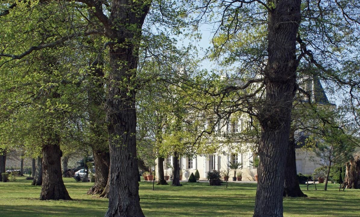 Photo of Outdoor in Sainte-Eulalie