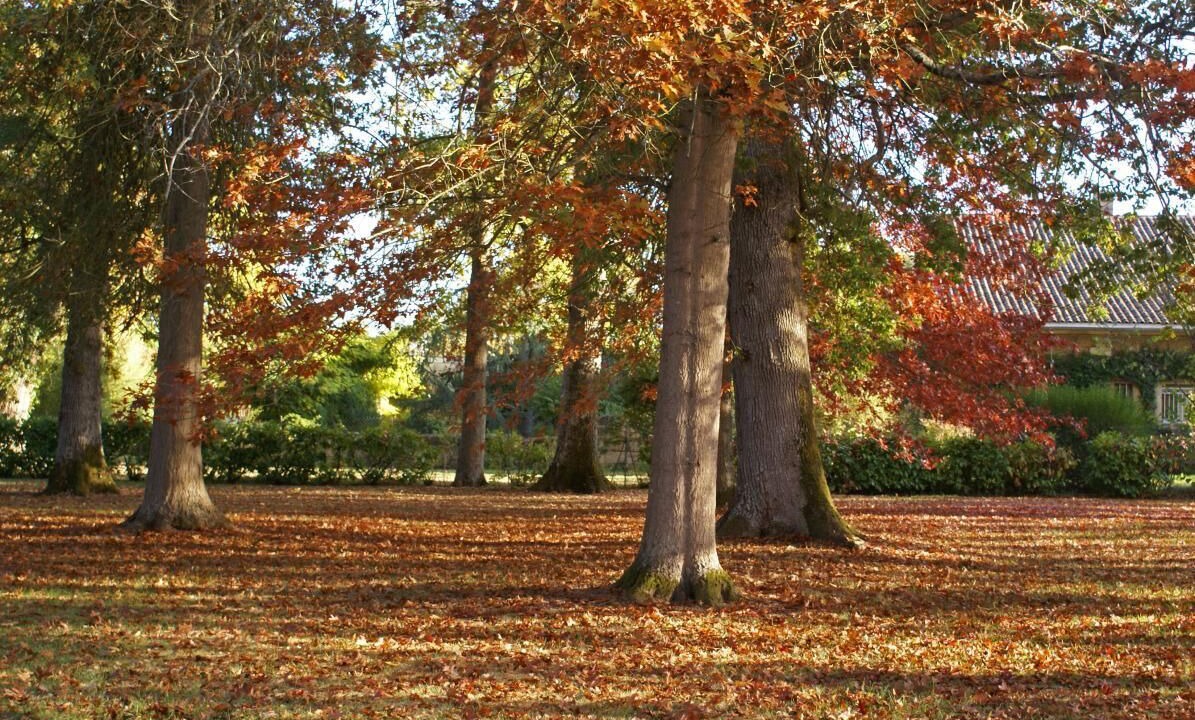 Photo of Outdoor in Sainte-Eulalie