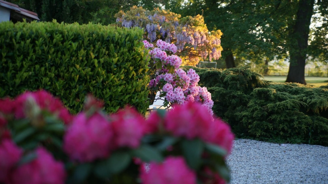 Photo of Outdoor in Sainte-Eulalie